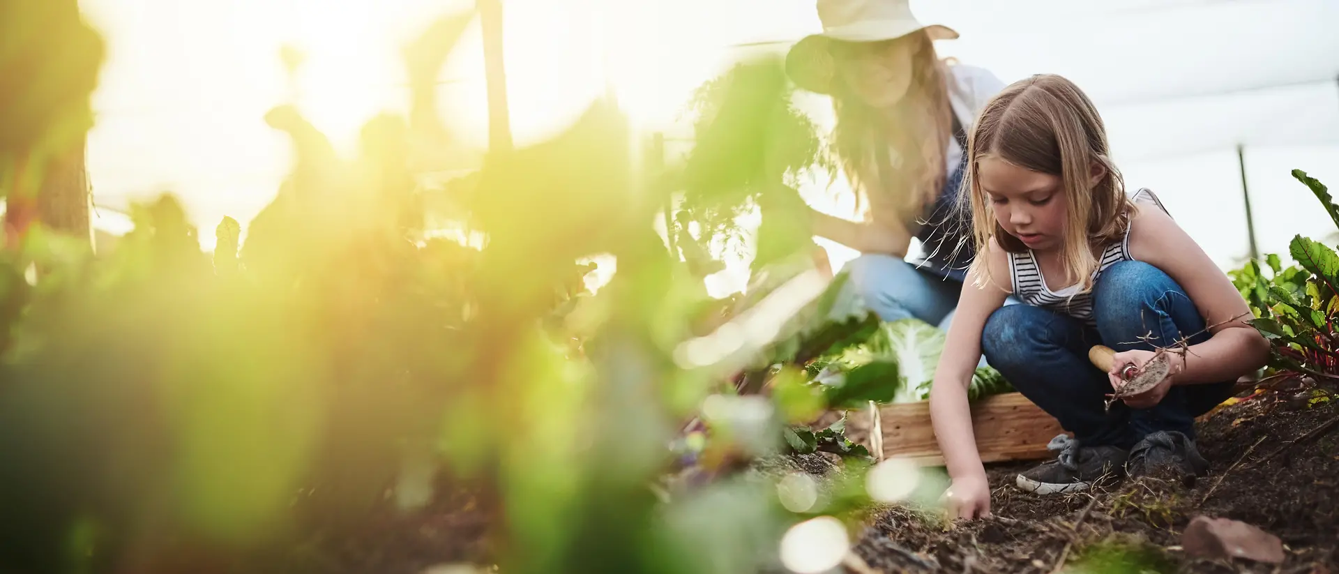 Mãe e filha a fazer jardinagem e a colher vegetais